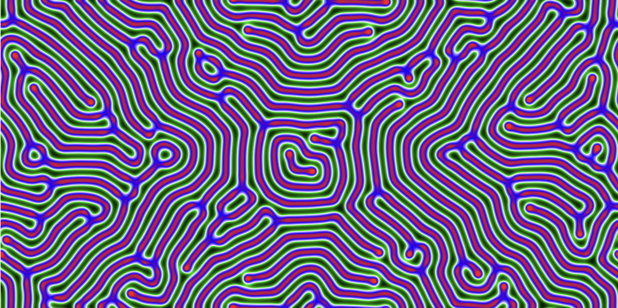 Portfolio Image 5